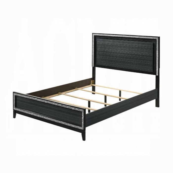 Haiden Queen Bed W/Led