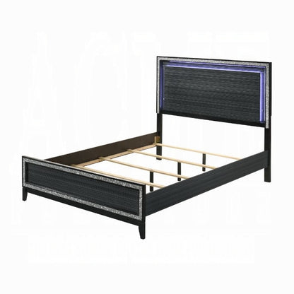 Haiden Queen Bed W/Led