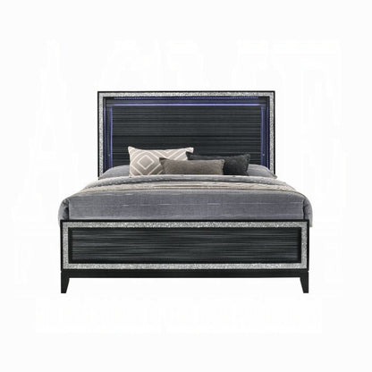 Haiden Queen Bed W/Led