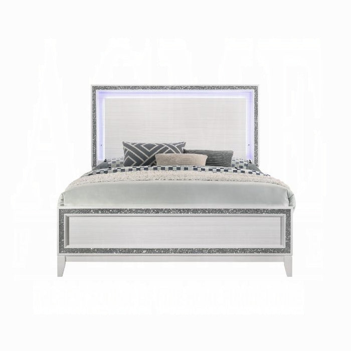 Haiden Queen Bed W/Led