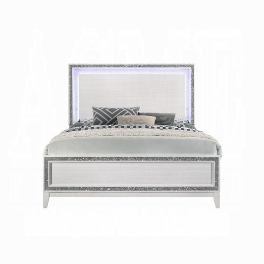 Haiden Queen Bed W/Led